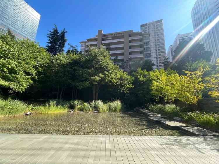 会場テラスの様子　7月撮影