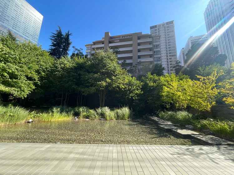 会場テラスの様子　7月撮影