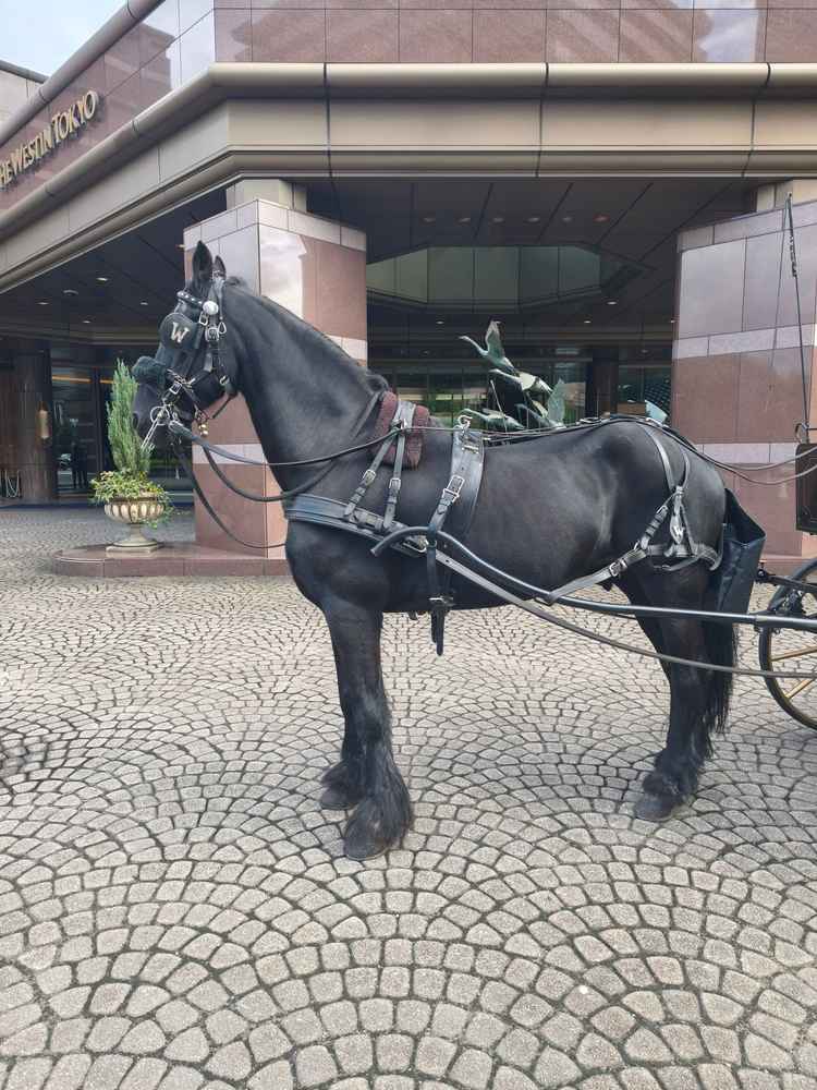 結婚式の際に乗れる場所も見学させてもらいました。