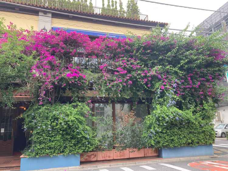 披露宴会場となる一軒家レストランの外観。花や木に囲まれて、その雰囲気に癒されます。