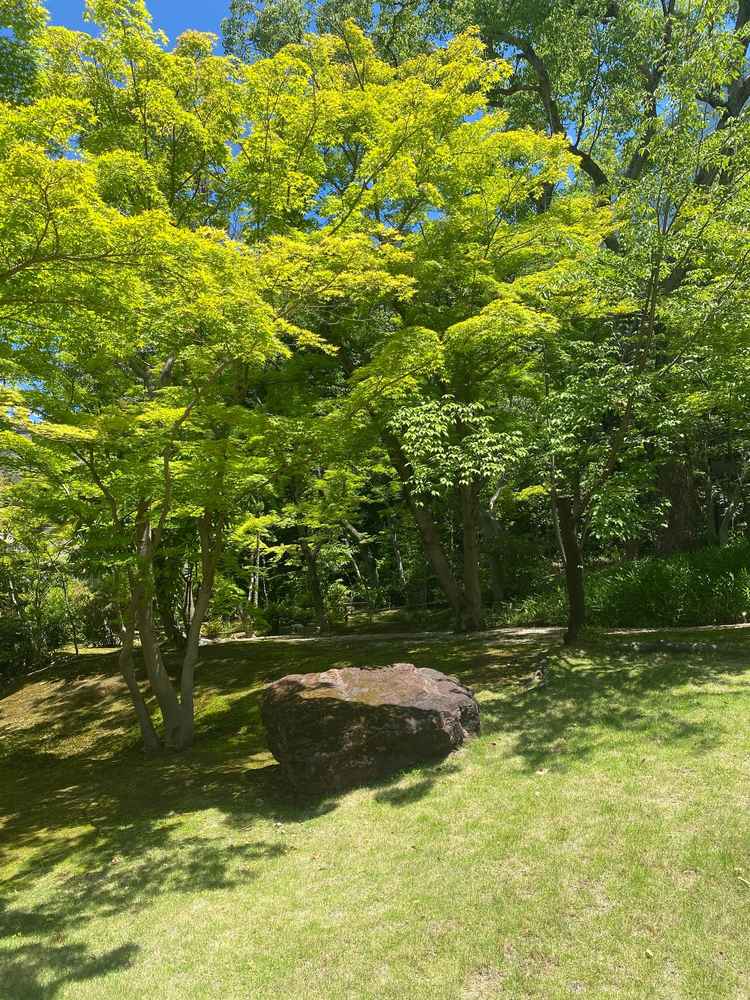 庭園
