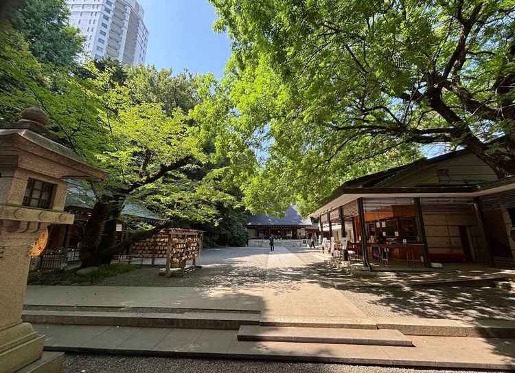 神社入口、非常に自然的な感じだった