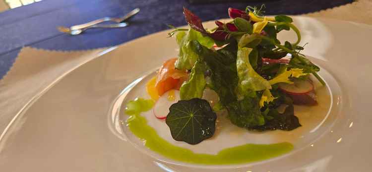 料理の前菜(カルパッチョ)