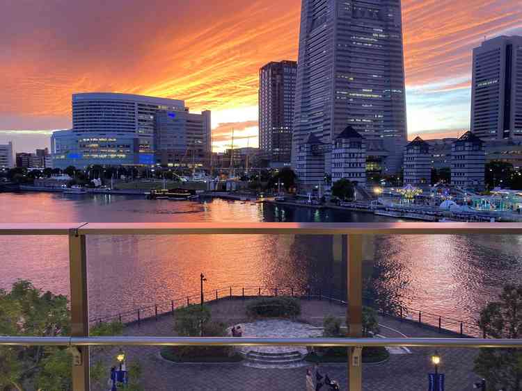 フラワーシャワーからの眺め