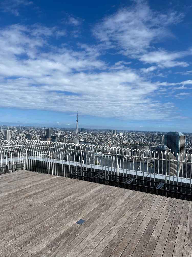 47階から見える景色は開放的で晴れれば最高だと思いました！