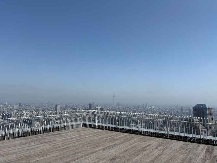 テラス。開放感があり素敵でした。