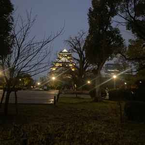 ユーザーが投稿した画像2をもっと見る