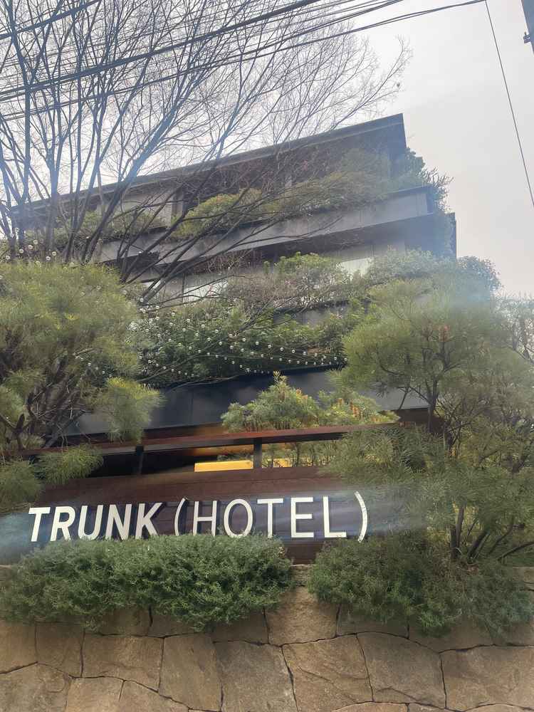 外観。都心にありながらも季節を問わず緑が感じられます。