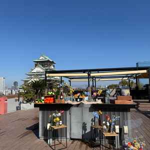 雨じゃない日は屋上のテラスに上がり写真など撮れるそうです。目の前に大阪城がありました。