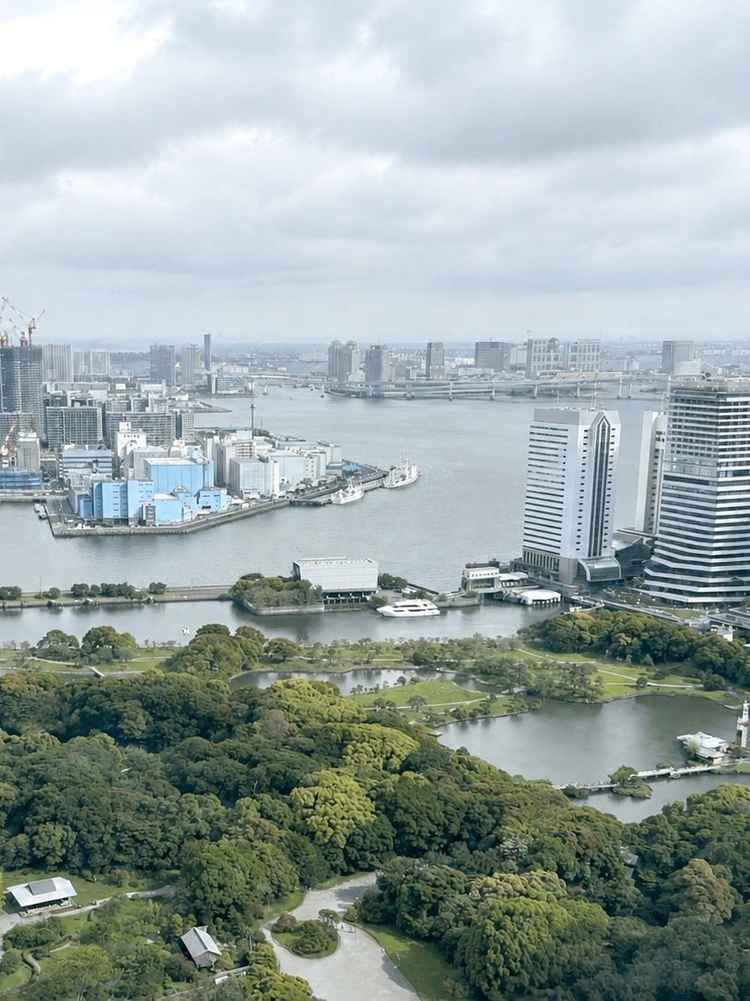 近くに浜離宮恩賜公園もあり、自然を感じられる