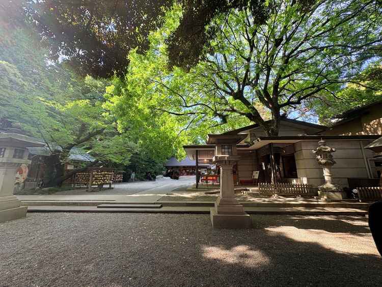 神社に向かう道が緑がたくさんで雰囲気がいいです