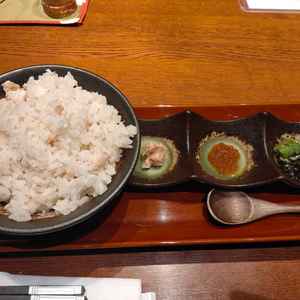 試食（鯛めし）の写真です。