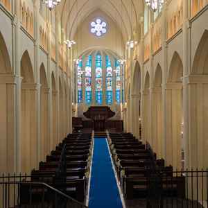 想像以上の迫力で凄かった