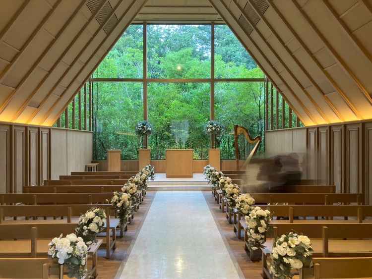 曇りでしたが、光が差し込んで緑がとっても綺麗でした！！落ち着いた雰囲気で、とても素敵でした。