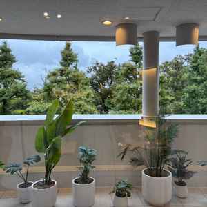 披露宴会場からの景色