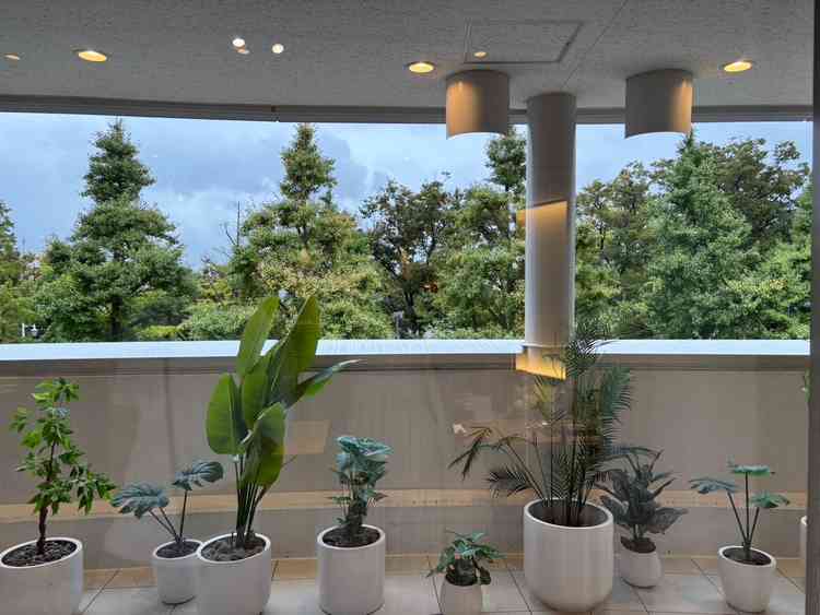 披露宴会場からの景色