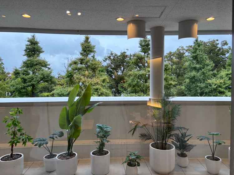 披露宴会場からの景色