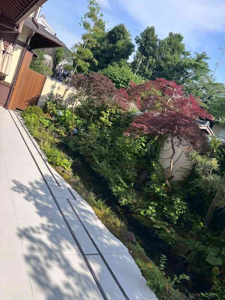 ユーザーが投稿した画像2