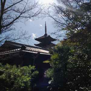昼、八坂の塔が見える庭