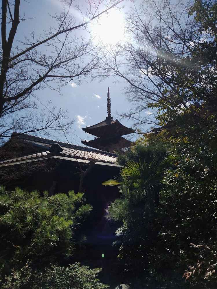 昼、八坂の塔が見える庭
