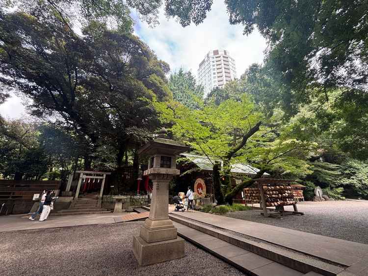 入り口入ってすぐの景色です。
