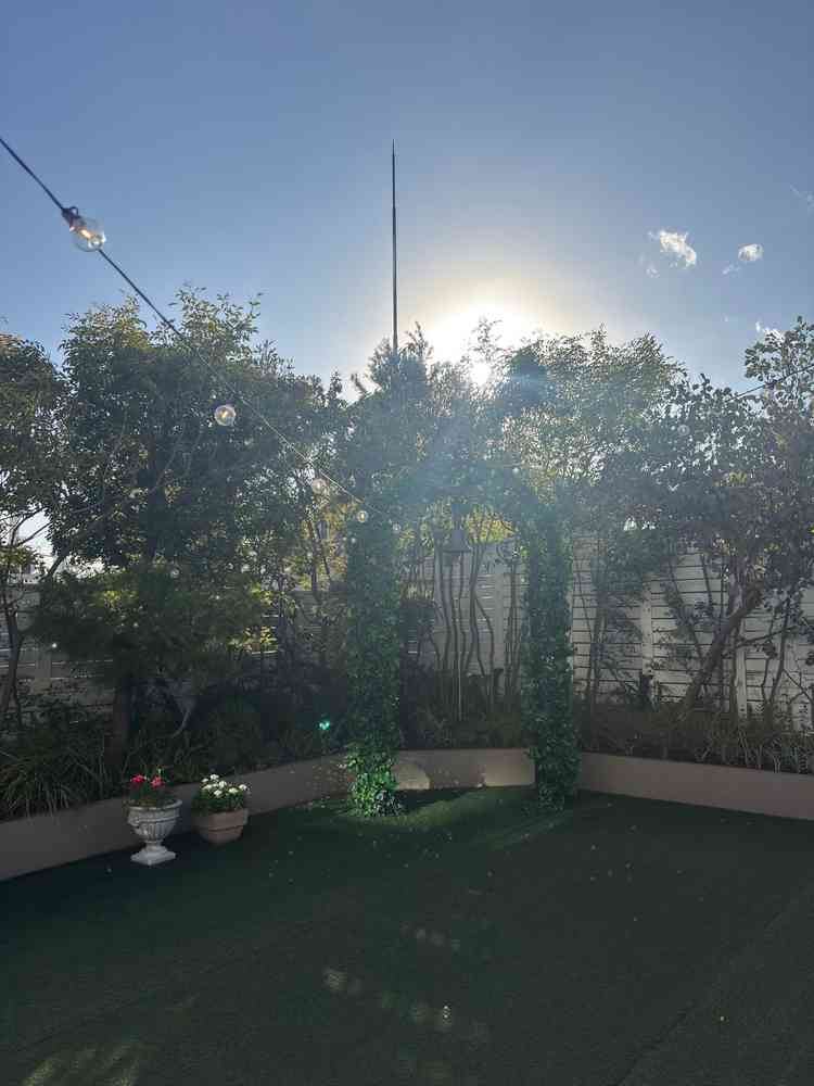 ガーデニングの写真です。こじんまりとしていましたが、写真を撮るのにはちょうど良いと感じました。