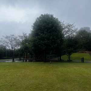 ガーデンウェディングの会場。あいにくの雨だったが、ひらけており、自由度が高かった。