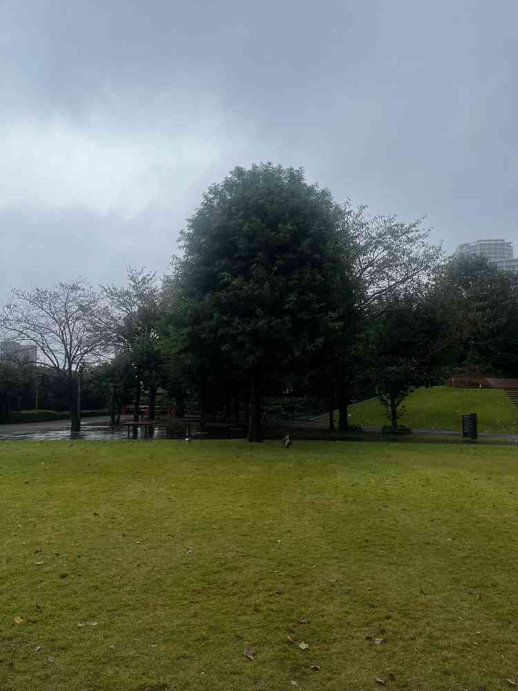 ガーデンウェディングの会場。あいにくの雨だったが、ひらけており、自由度が高かった。