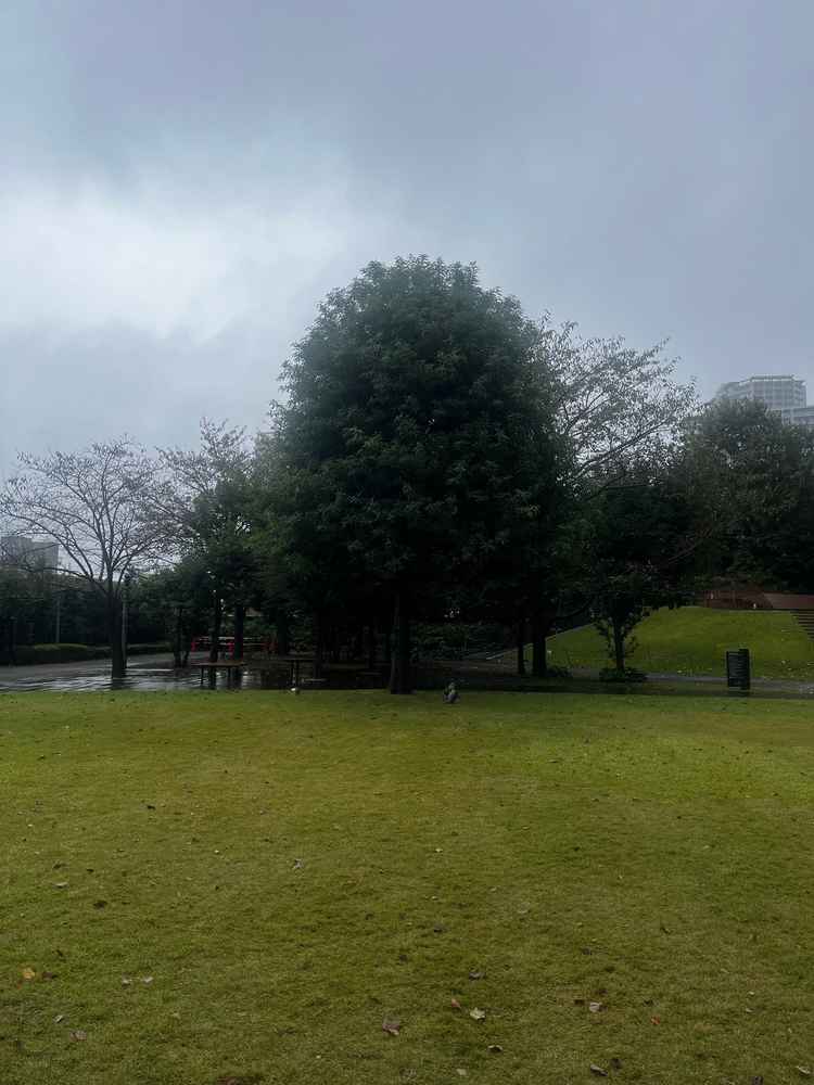 ガーデンウェディングの会場。あいにくの雨だったが、ひらけており、自由度が高かった。