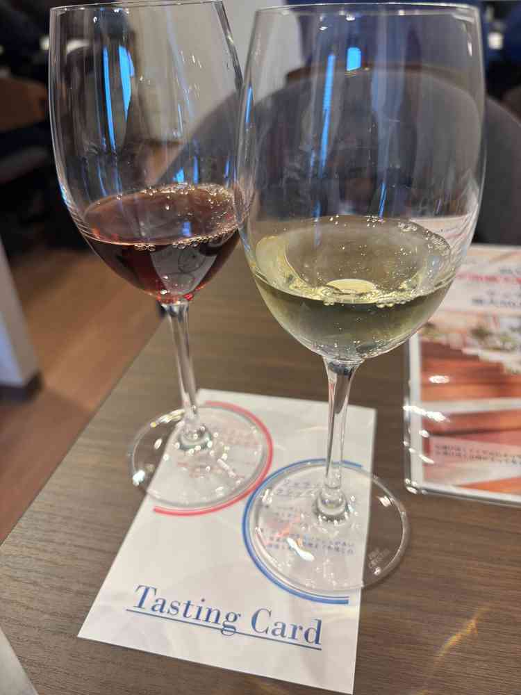 ワインのペアリング試飲をさせてもらいました。お料理もとても美味しかったです。