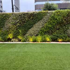 披露宴会場の隣にある芝生