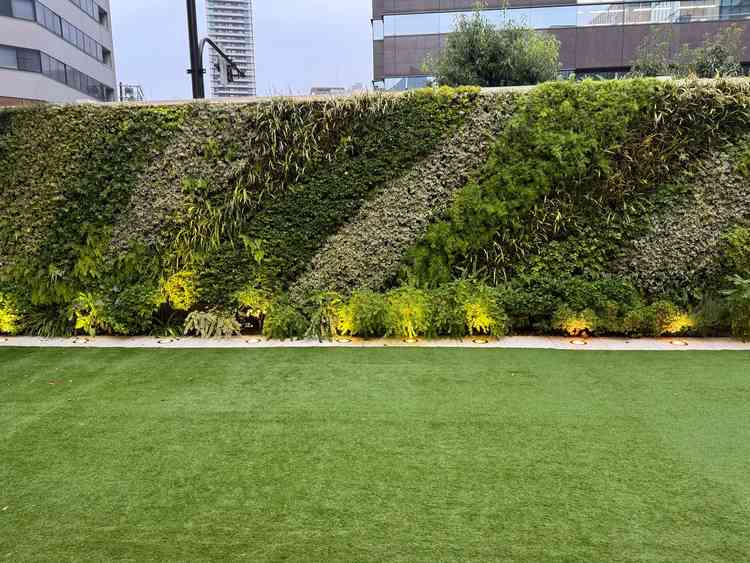 披露宴会場の隣にある芝生