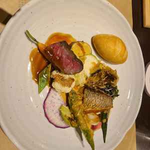 試食メニュー（魚/肉）