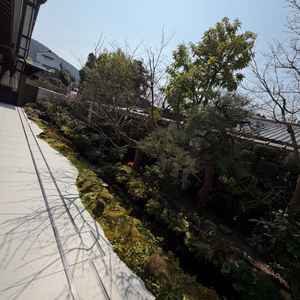 披露宴会場2の庭