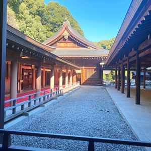 本殿へ向かう参進の道。木々に囲まれ、都心とは思えない静けさが印象的でした。