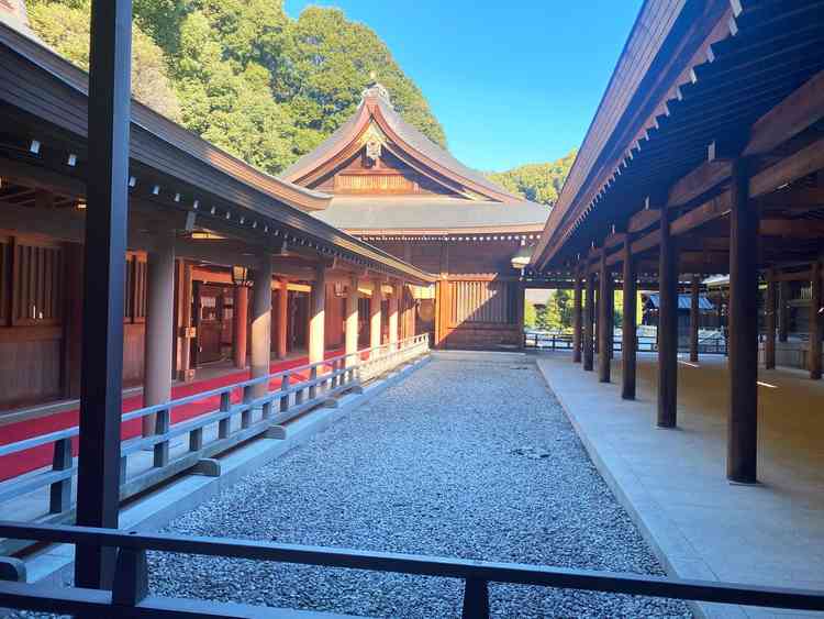 本殿へ向かう参進の道。木々に囲まれ、都心とは思えない静けさが印象的でした。