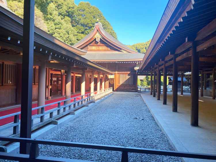 本殿へ向かう参進の道。木々に囲まれ、都心とは思えない静けさが印象的でした。