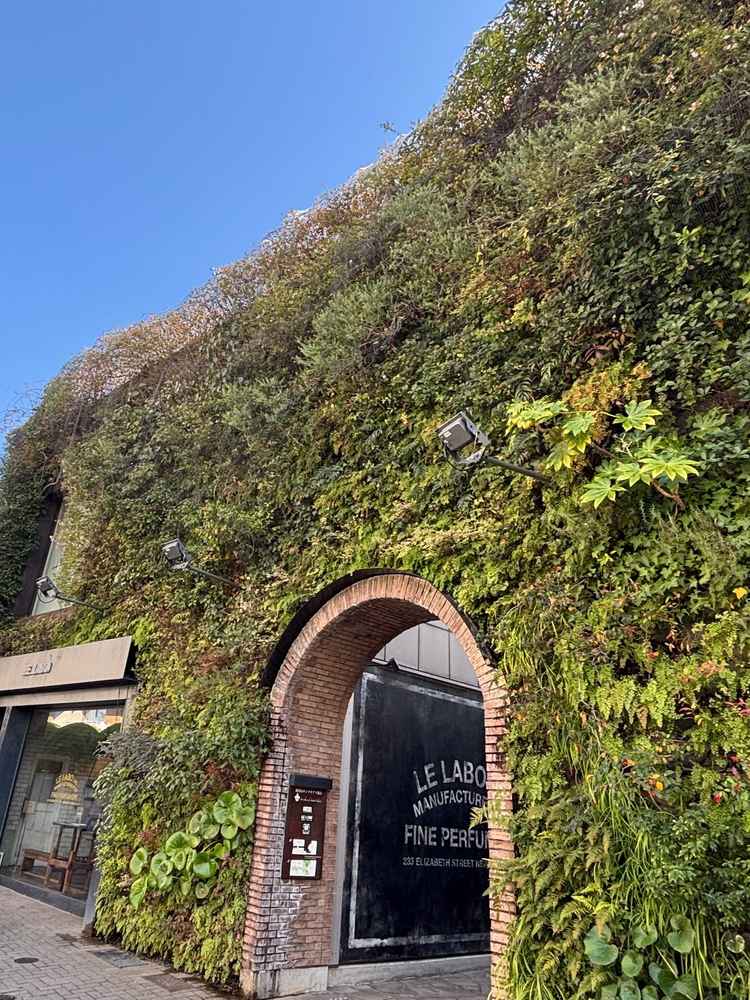 エントランスです。入り口から緑が豊かで写真が映える印象でした。