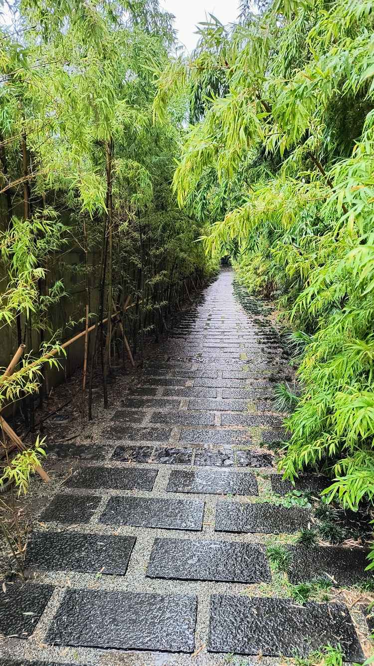 竹道