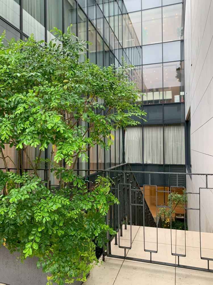 外観。スタイリッシュな建物と緑が素敵。