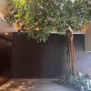 インパクトのある入口