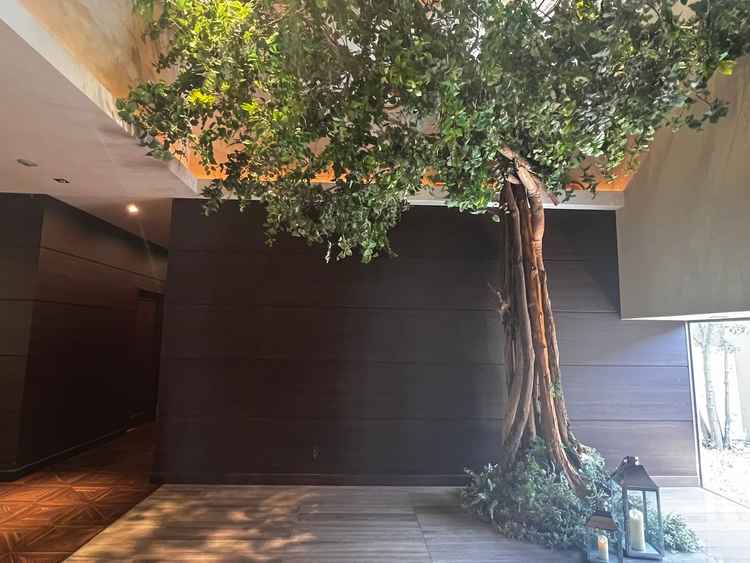 インパクトのある入口