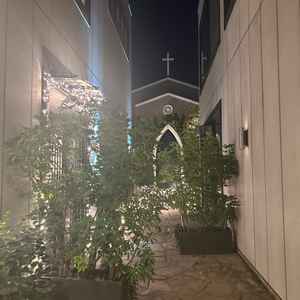 チャペルに入る所。イルミネーションもあり夜でもキラキラしていて綺麗。冬のロケーションの方が映えそう。