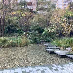 中庭の様子。冬だったので枯れ木ですが、春〜夏は緑が綺麗だそうです。