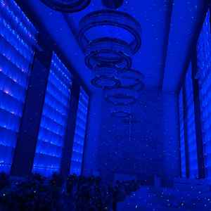 星空演出もできるよう。照明などで挙式中の雰囲気が変えられる点はいいと思った。