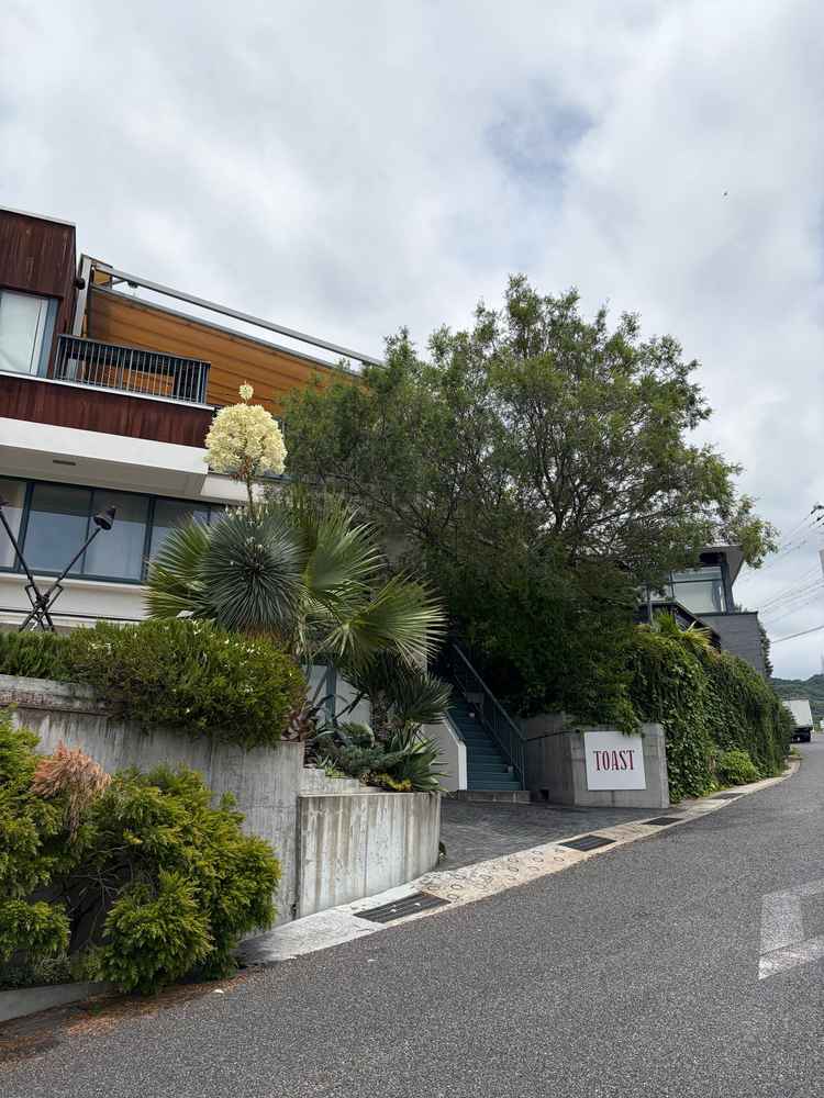 外観は、緑が多いお家みたいな空間で落ち着きがあり素敵でした。