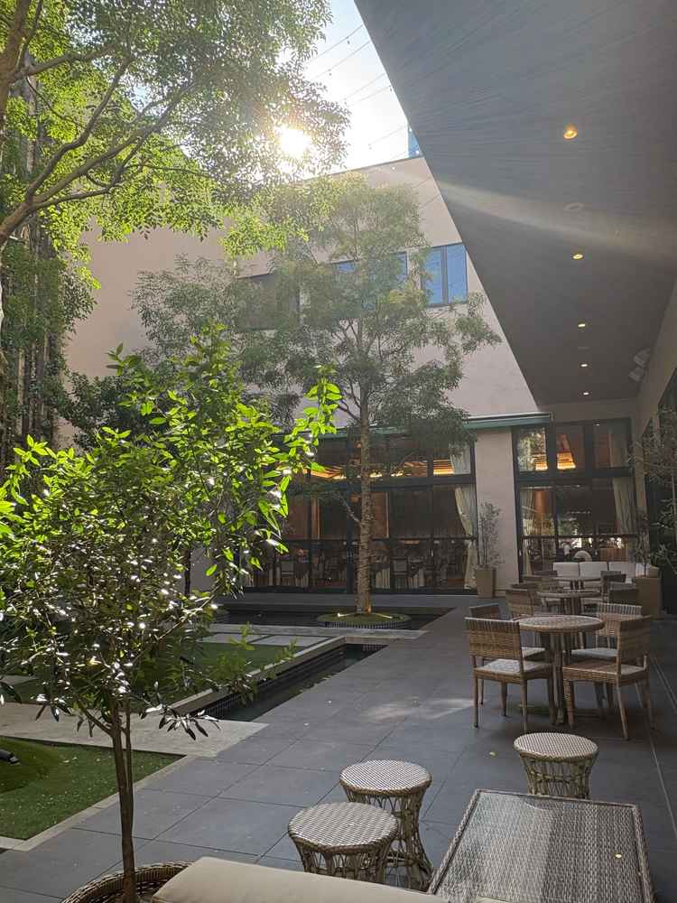 披露宴会場のガーデン。自然光が差し込み、温もりのある雰囲気。ガーデンの木も常緑樹で季節を問わない。