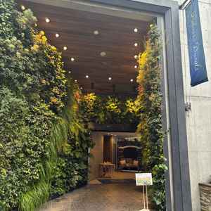 入り口は先進的ながらも緑が多いです。