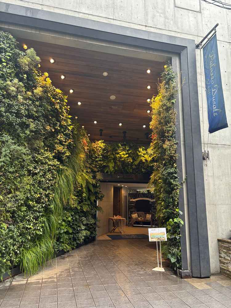 入り口は先進的ながらも緑が多いです。