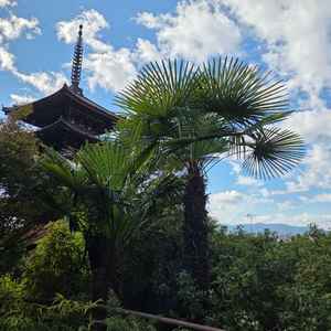 披露宴会場のテラスから見える景色です。インスタ映えバッチリでゲストにも見せたいとは思いました